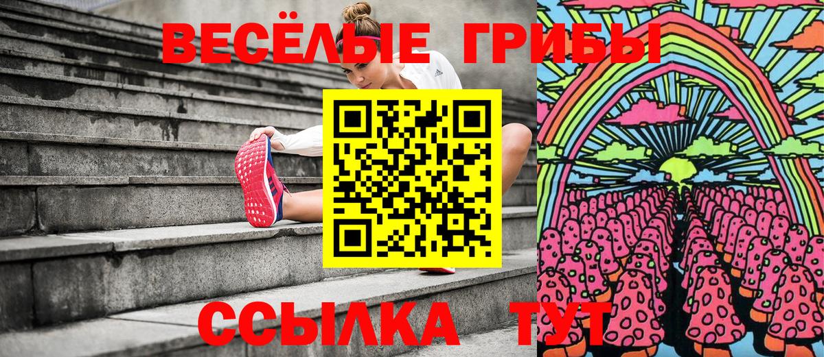 Галлюциногенные грибы мицелий Волжск
